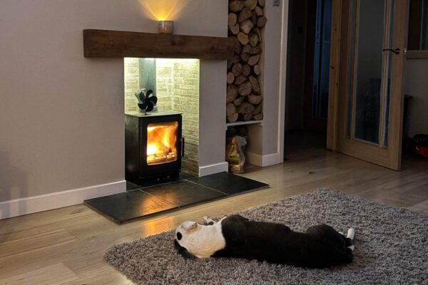Heat Resistant Fireplace Lighting