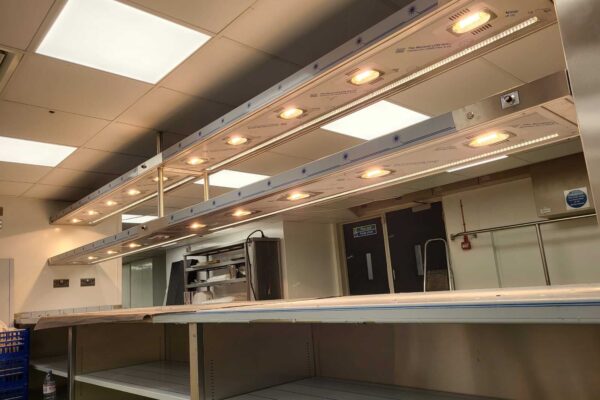 Professional heated gantry strip light